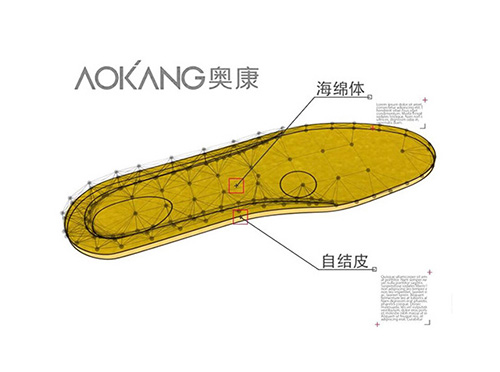 AOKANG 鞋墊 《康